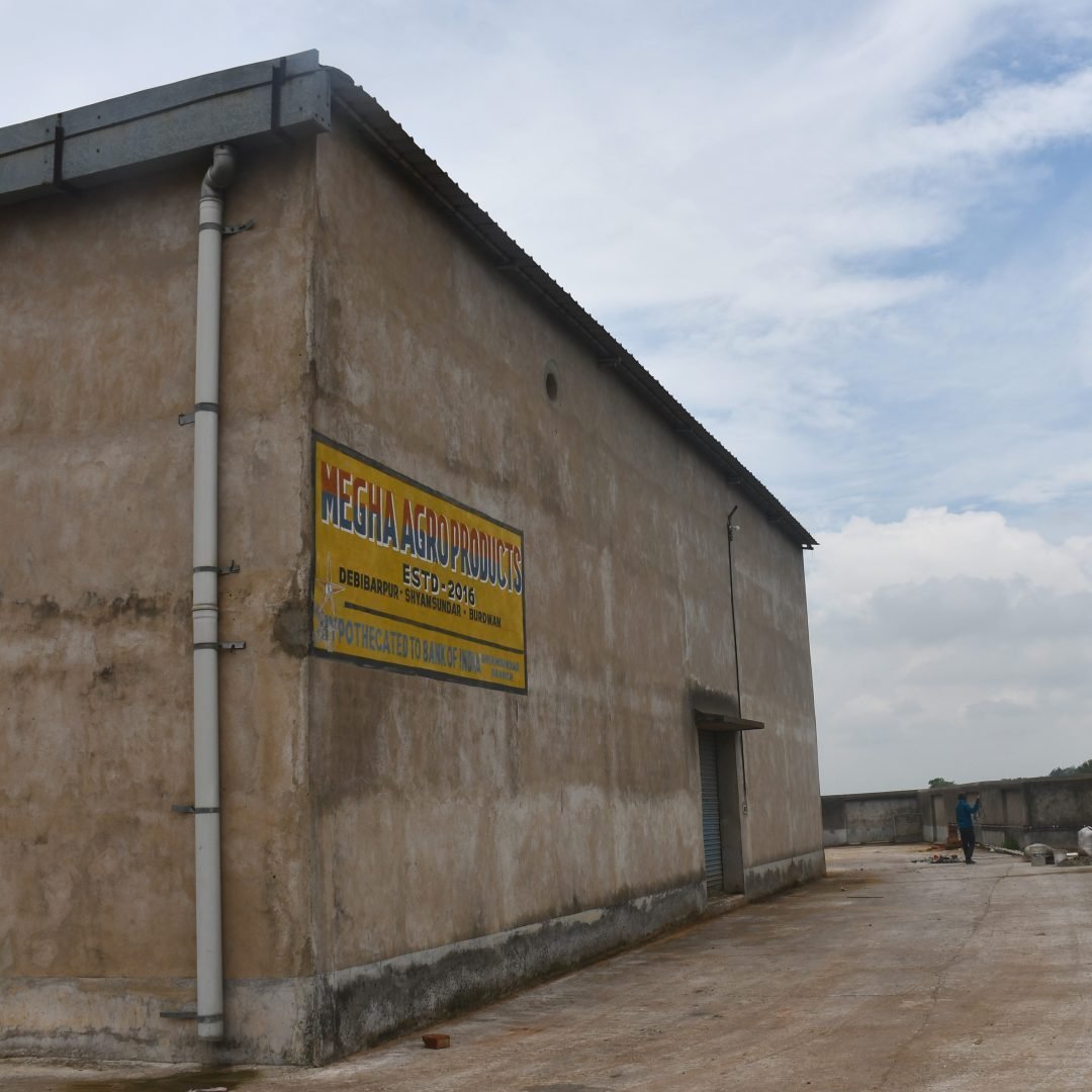 Paddy fields and grain selection at Megha Agro Products