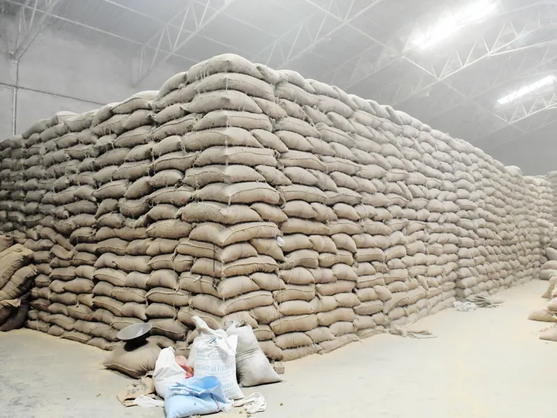 Megha Agro Products plant photo img-030