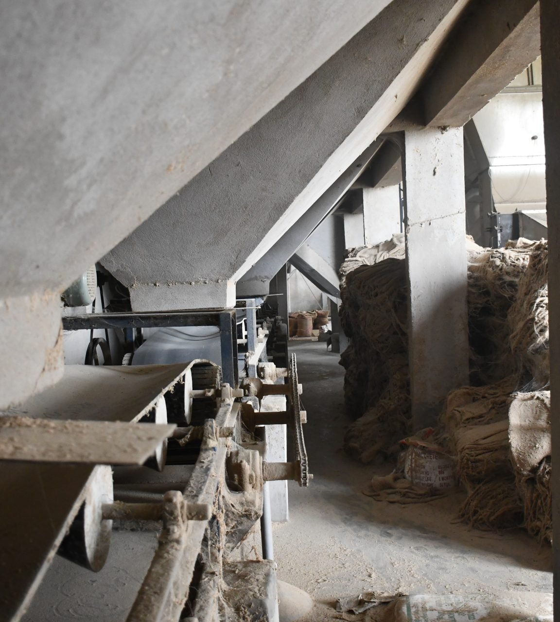 Rice being processed at Megha Agro Products